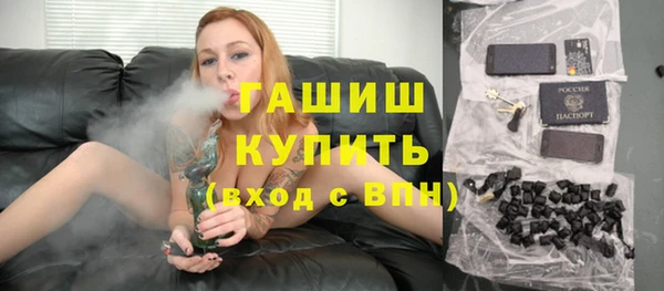 стаф Алзамай