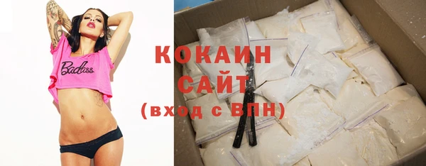стаф Алзамай