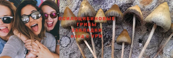 каннабис Алексин