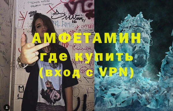 стаф Алзамай