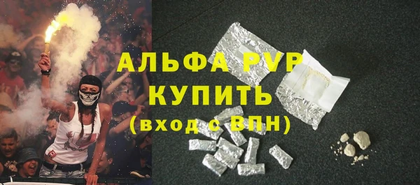 стаф Алзамай